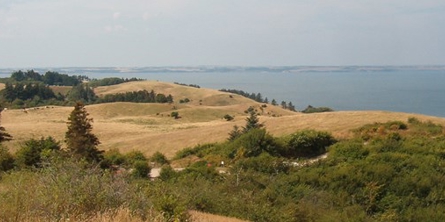 På billedet ses et bakket landskab bestående af træer og enge. I baggrunden ses havet.