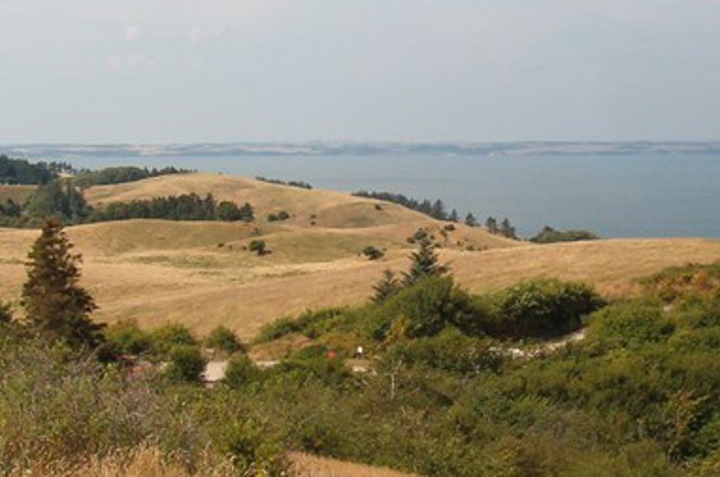 På billedet ses et bakket landskab bestående af træer og enge. I baggrunden ses havet.