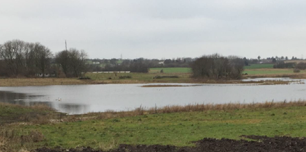 På billedet ses en lille sø omgivet af marker og enkelte træer.