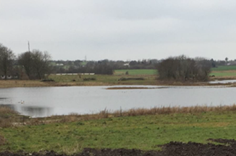 På billedet ses en lille sø omgivet af marker og enkelte træer.