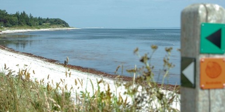 På billedet ses en sandstrand med græs og en pæl med forskellige markeringer i forgrunden.