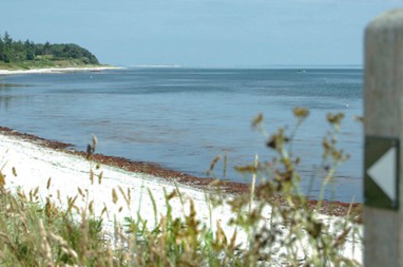 På billedet ses en sandstrand med græs og en pæl med forskellige markeringer i forgrunden.