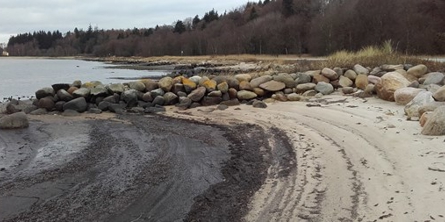På billedet ses en strand. I baggrunden ses en skov.