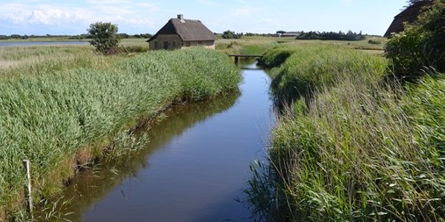 På billedet ses et vandløb, med grønne planter på skrænterne og et lille hus og en bro i baggrunden.